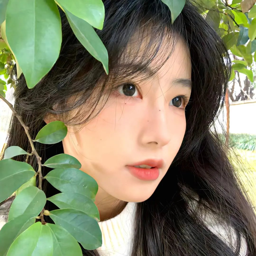 花月流情