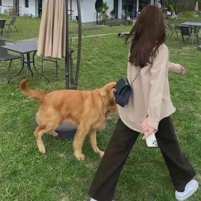 机甲界