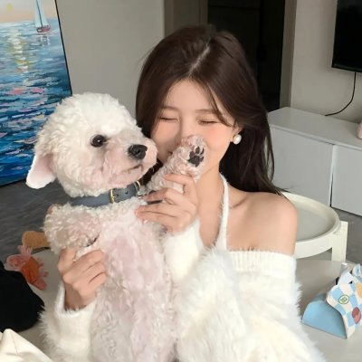 龙骑士的黎明